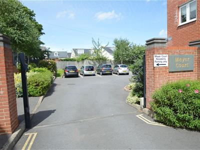 Picture 14